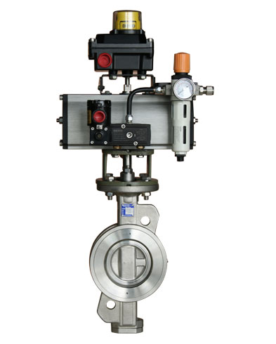 Double Offset Butterfly Valve